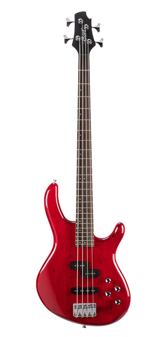 Bass Guitars