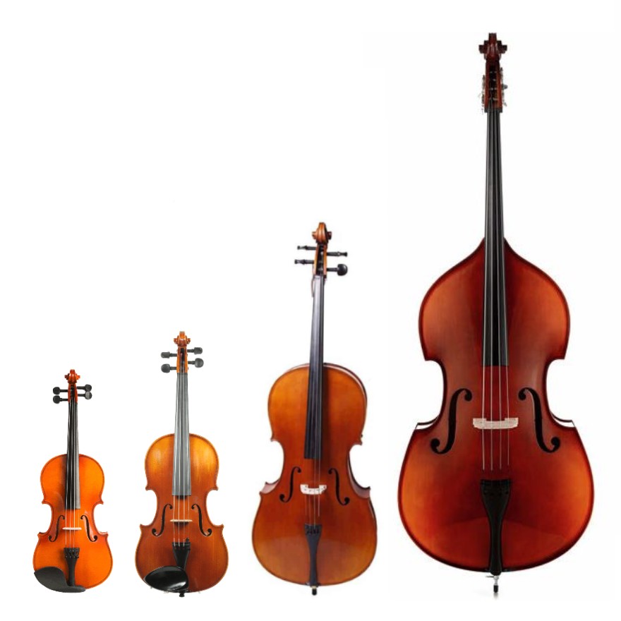 String Instruments